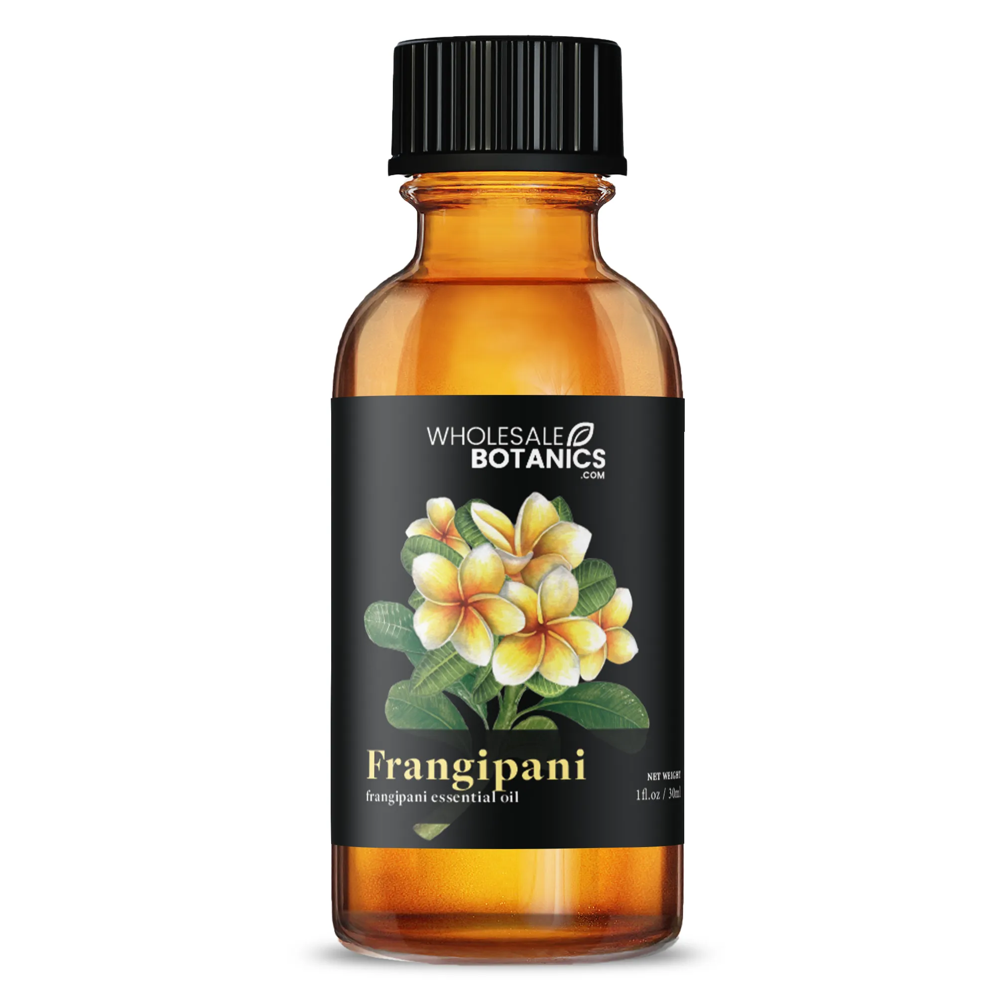 Frangipani Oil