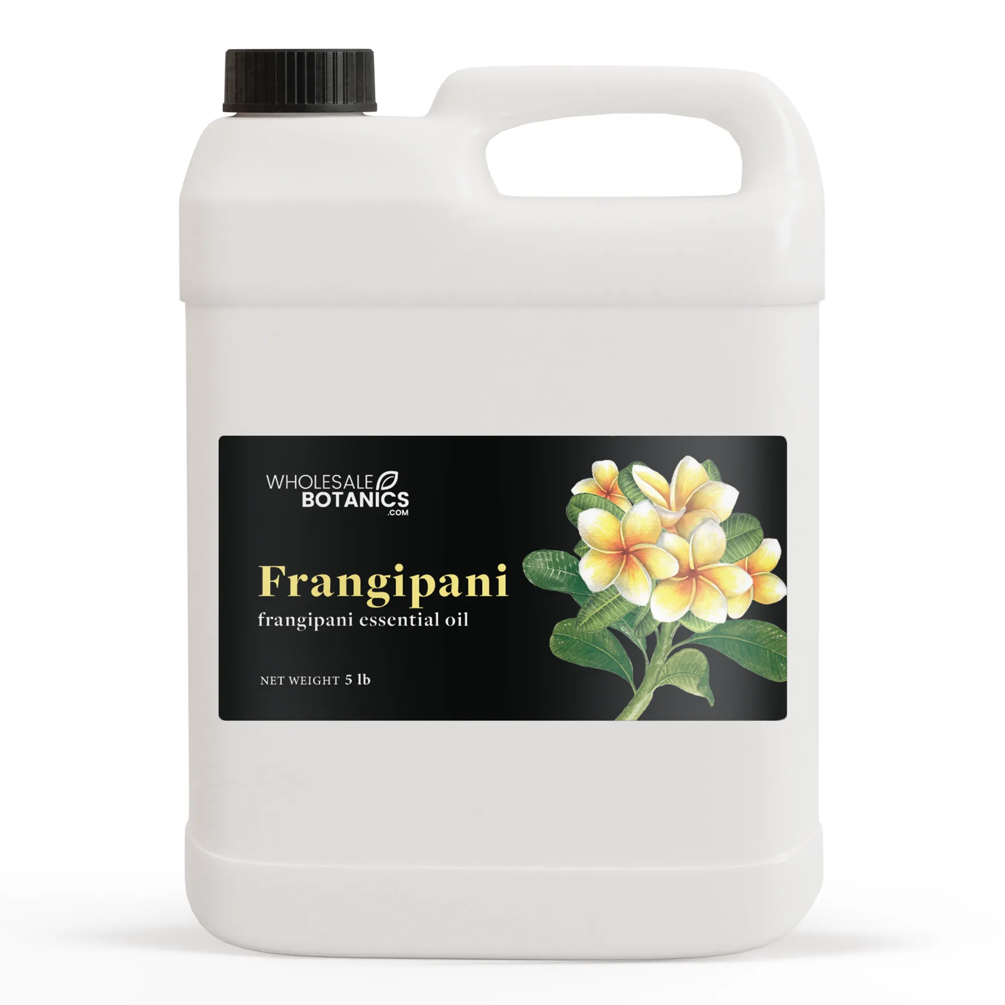 Frangipani Oil