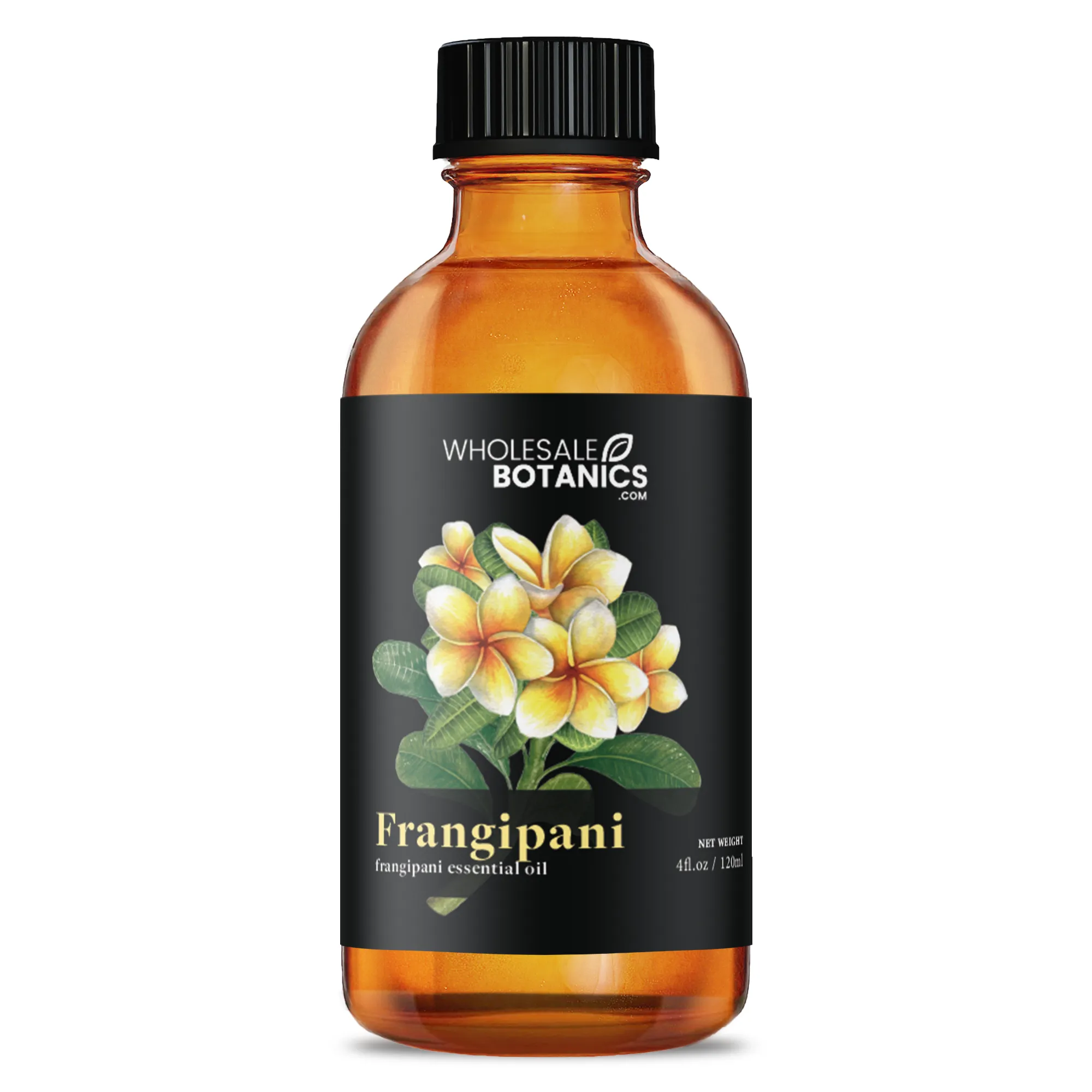 Frangipani Oil