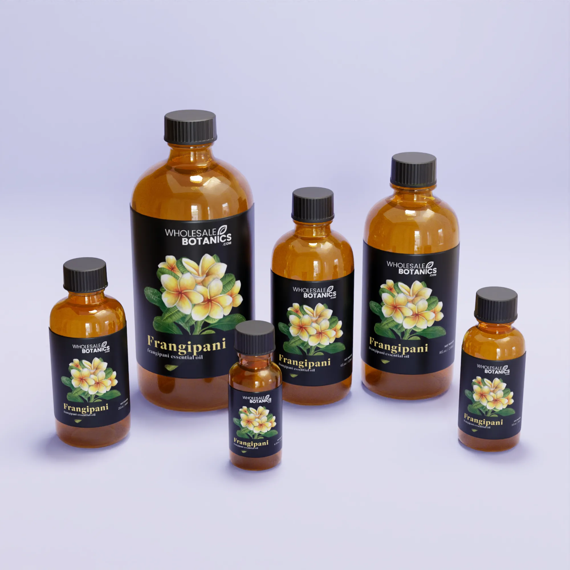 Frangipani Oil