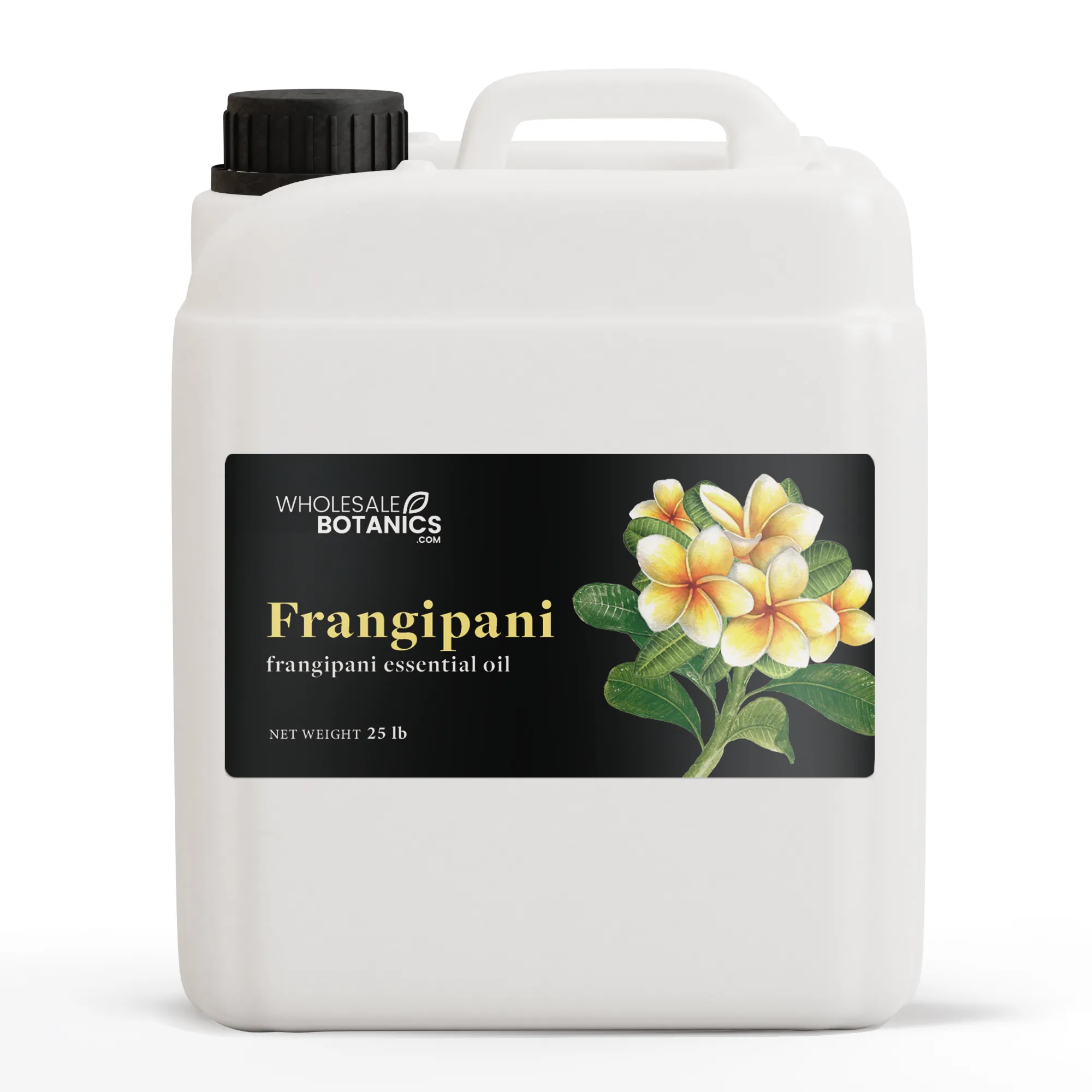 Frangipani Oil